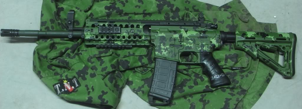 QASCUSTOMM4S-SYSTEMDANISHM84CAMO1.jpg