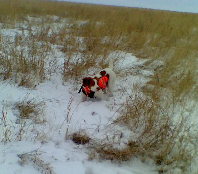 Dec2010.jpg