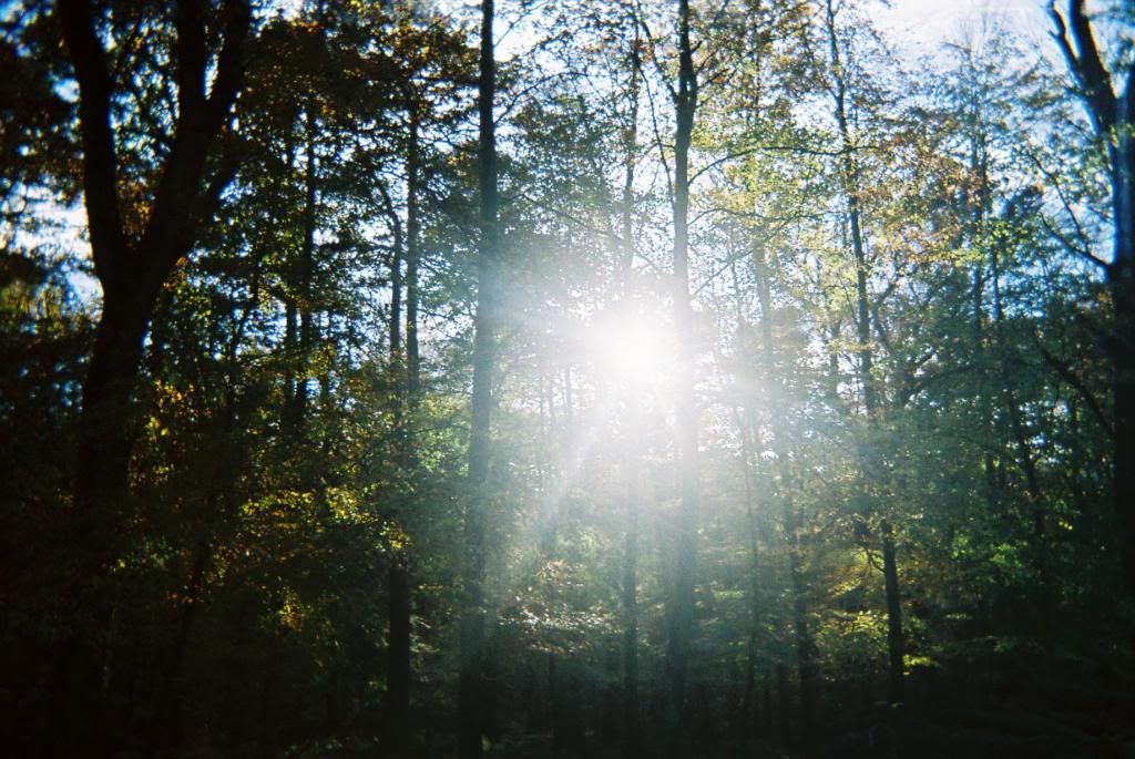photo CNV00012_zpse4fbec8a.jpg