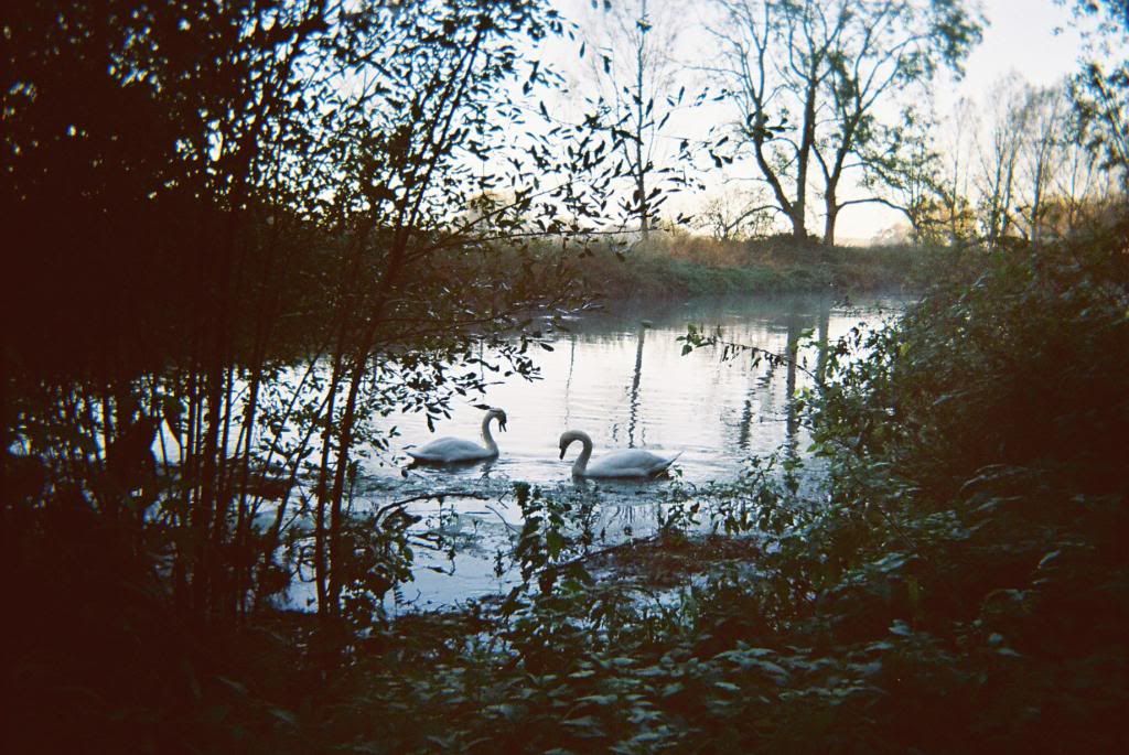 photo CNV00014_zpsfcd16912.jpg
