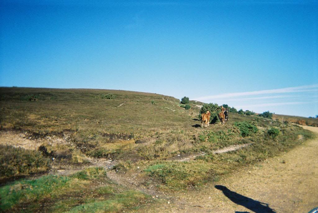 photo CNV00020_zpsfc827bb8.jpg