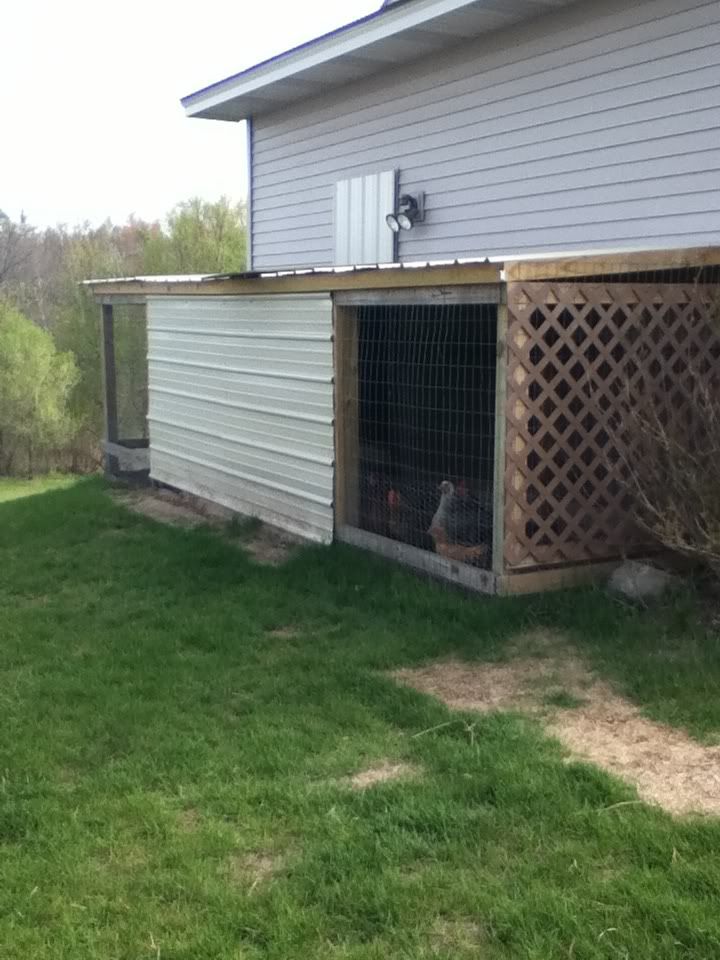 Welded wire vs hardware cloth BackYard Chickens Learn How to Raise