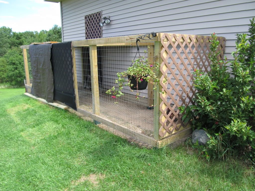 Show Me Your Fence Pictures For Your Chickens