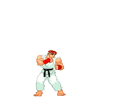 Bison