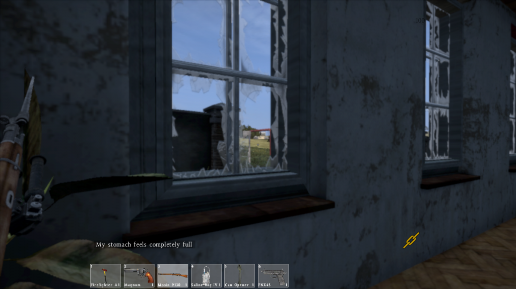 DayZ2014-01-0422-08-13-407_zpsc723c147.p