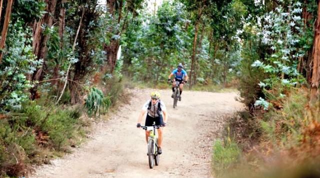 photo 25_zps1365141b.jpg