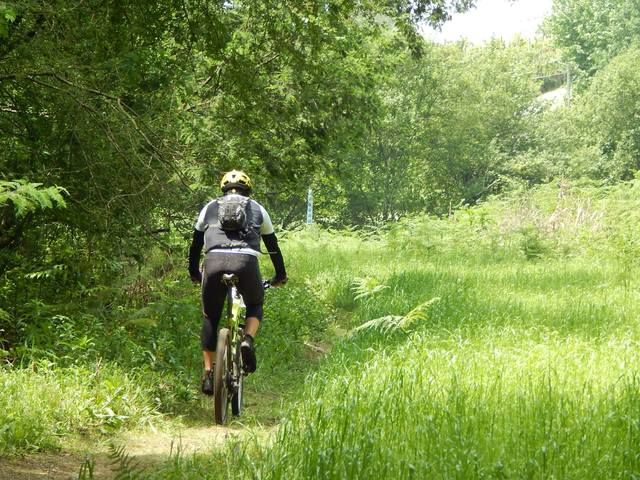 photo 16_zpsk3boccbz.jpg