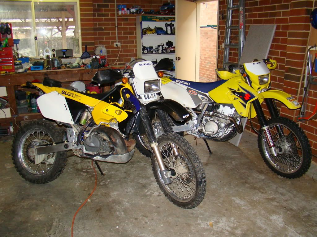 DSC05601.jpg