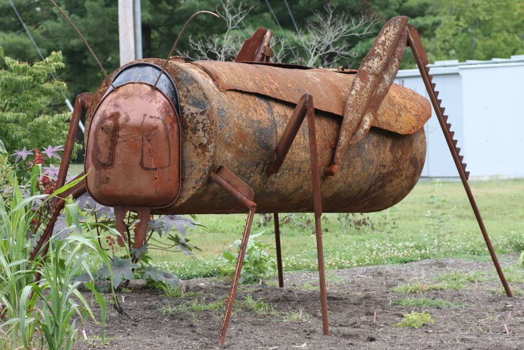 IMAGE: http://i934.photobucket.com/albums/ad190/Mr-Bill-2010/Wildlife/IMG_0244.jpg