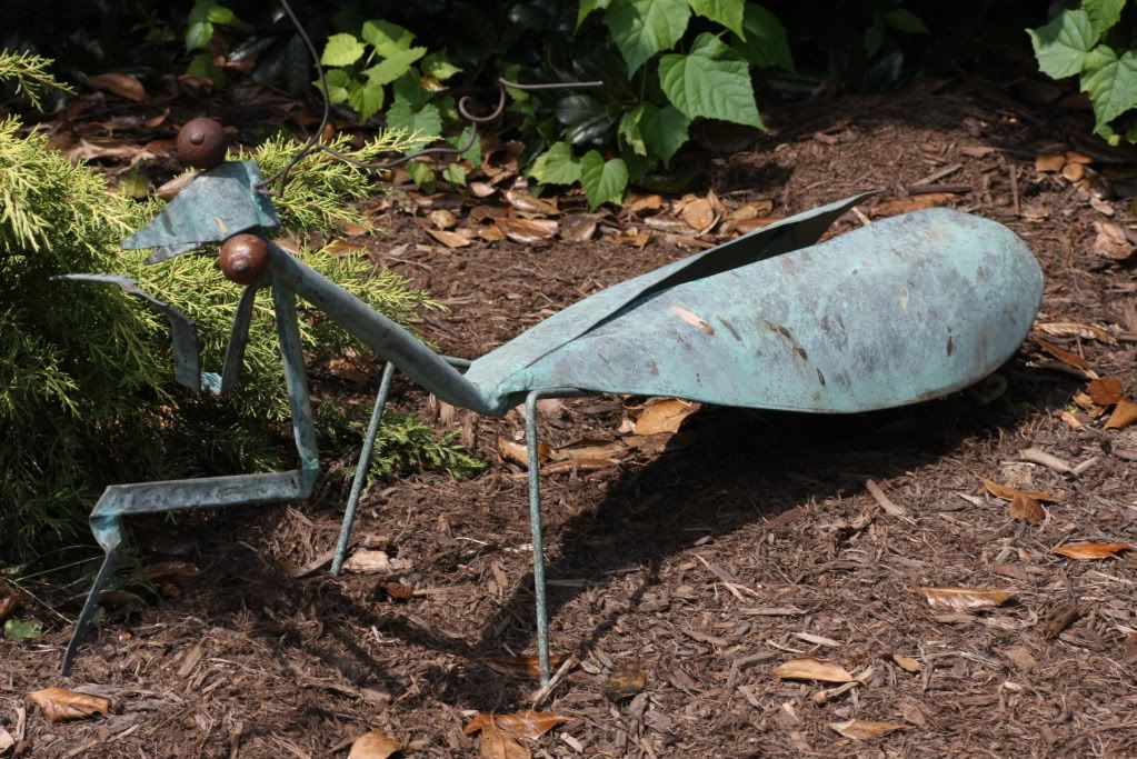 IMAGE: http://i934.photobucket.com/albums/ad190/Mr-Bill-2010/Wildlife/IMG_0254.jpg