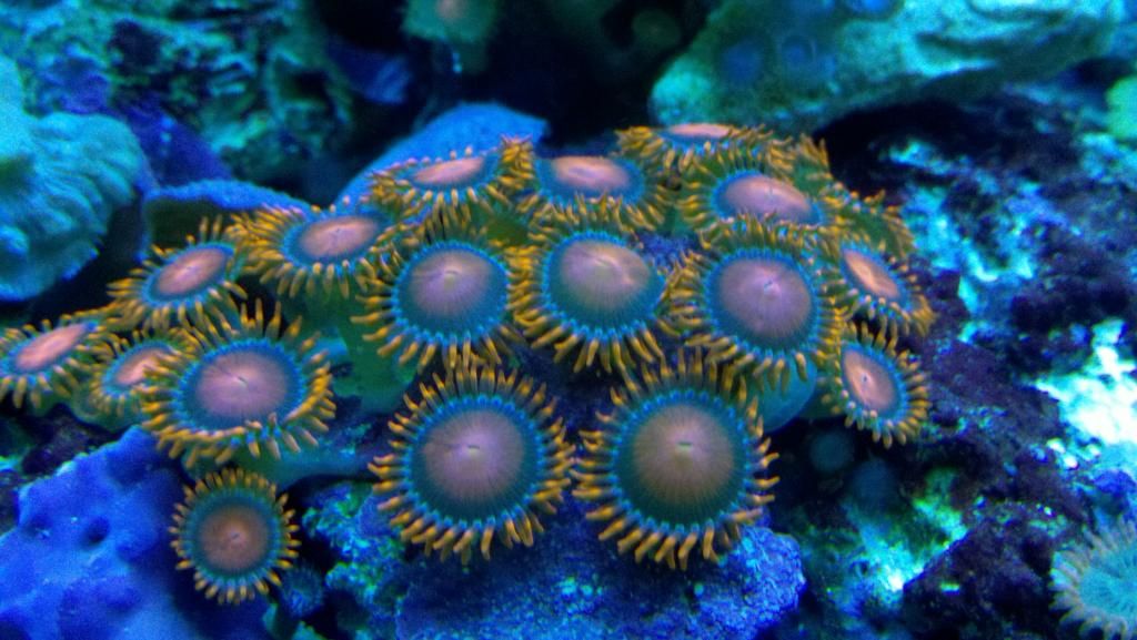 2012-11-05_16-41-55_866.jpg