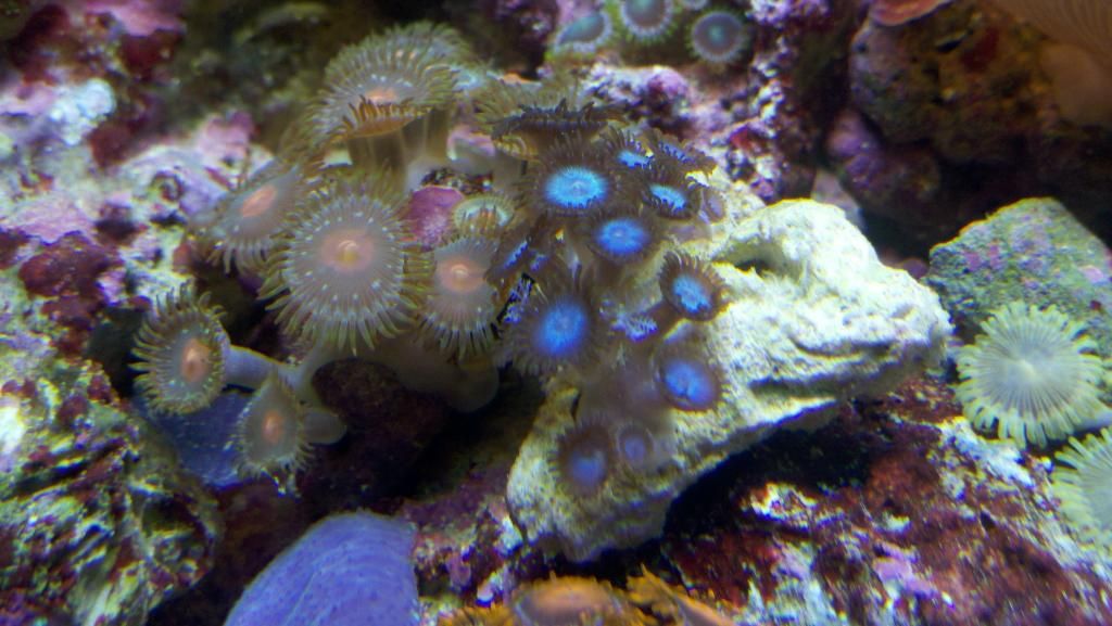 2012-11-05_16-42-44_871.jpg