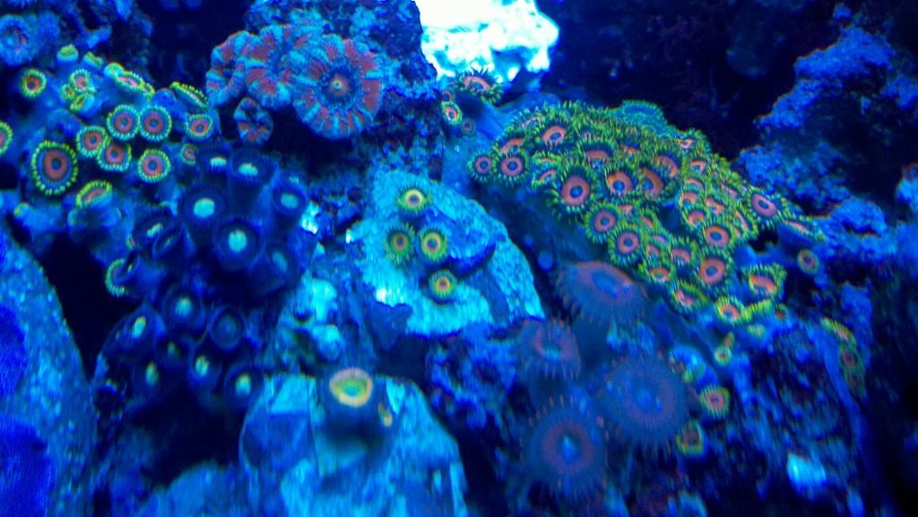 2012-11-17_03-14-31_421.jpg