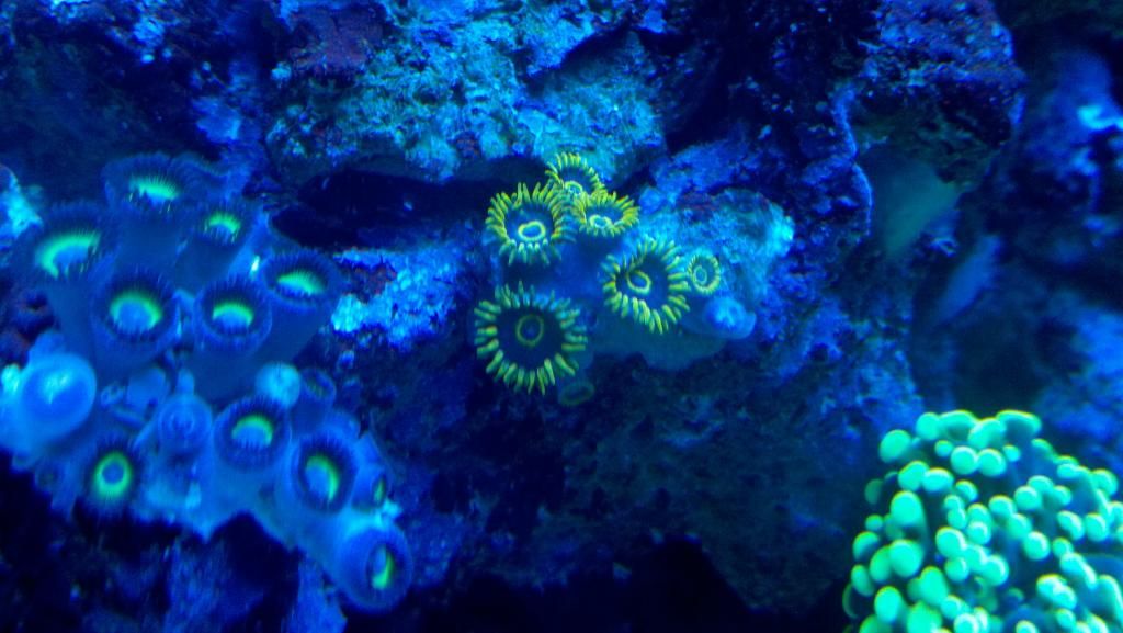 2012-11-17_03-14-45_890.jpg