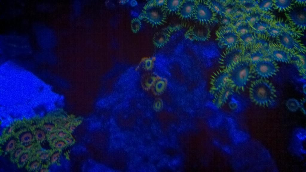 2012-11-17_03-16-15_460.jpg