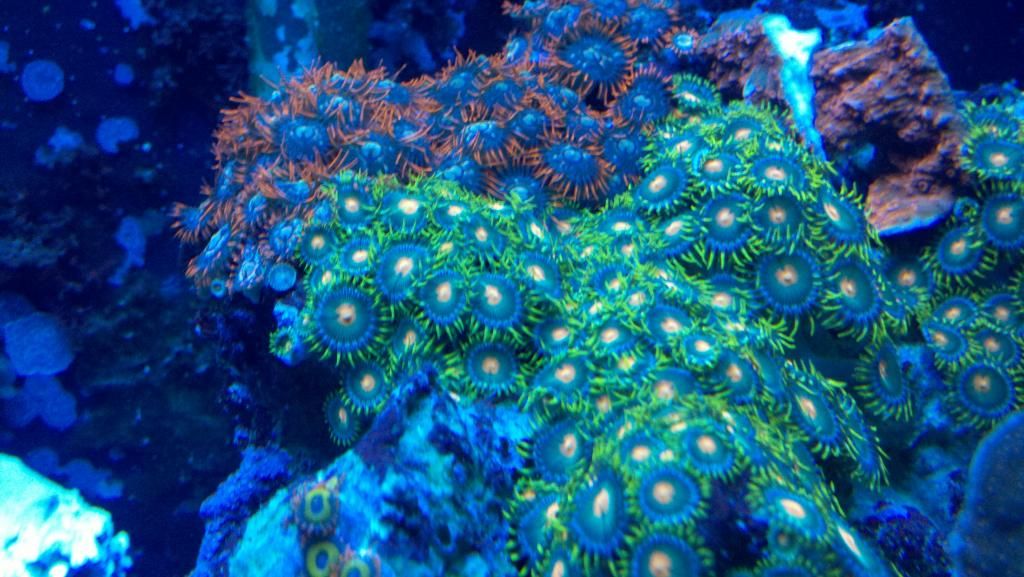2012-11-18_16-47-22_85.jpg