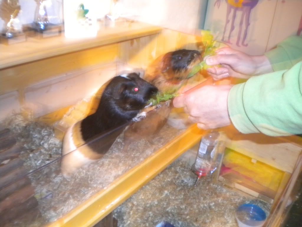 SamenRaamhangen.jpg