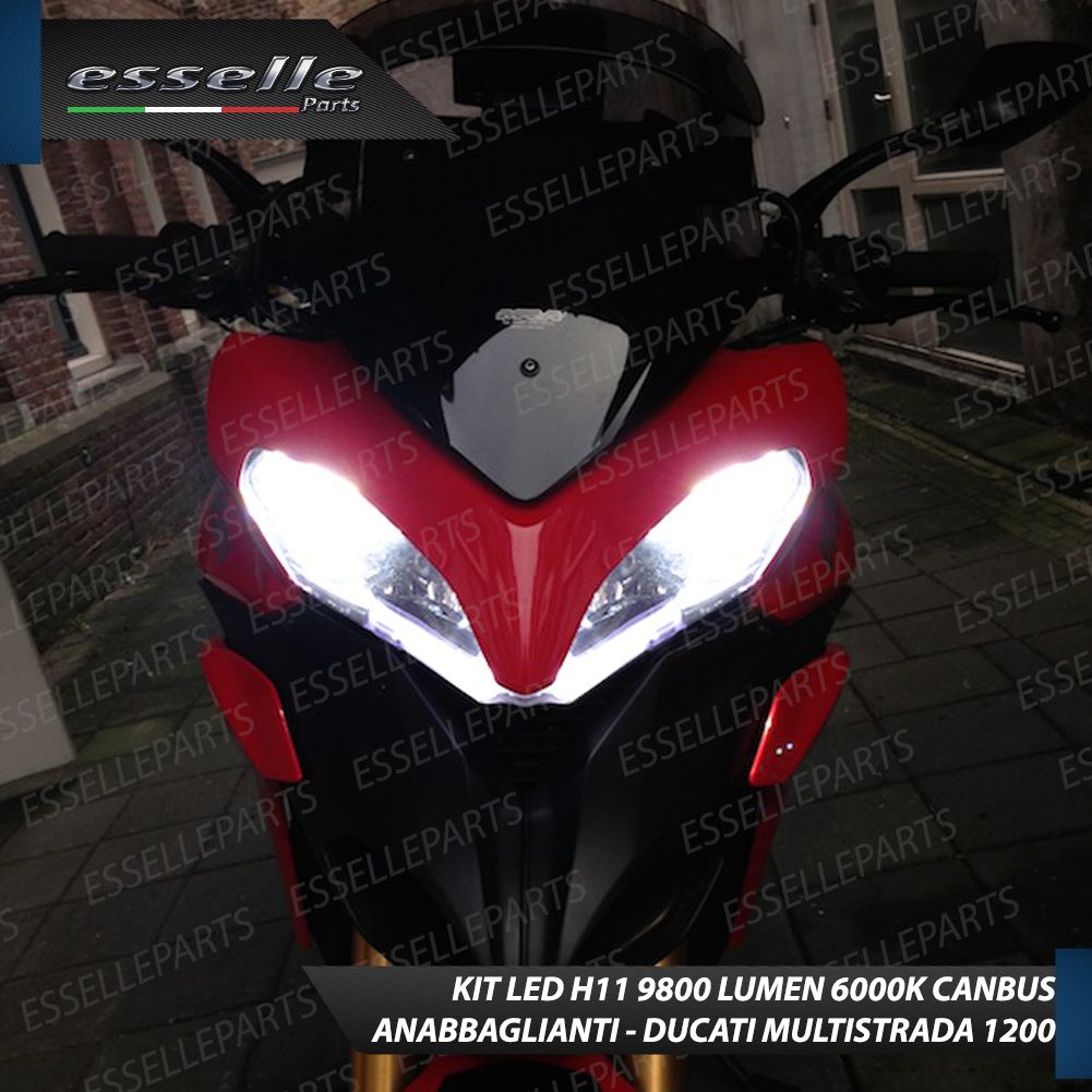  photo ANABB1_zps5agg0rnn.jpg