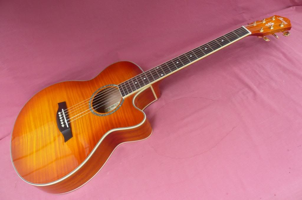   flamed sycamore top that make it a fine live performance guitar