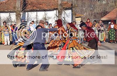 photo 02220-LRG_zpse9cd8e02.jpg