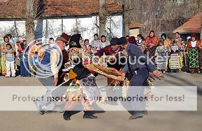 photo 02221-LRG_zpsee25af78.jpg