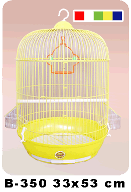 Burung 20kenari Pictures Images Photos Photobucket