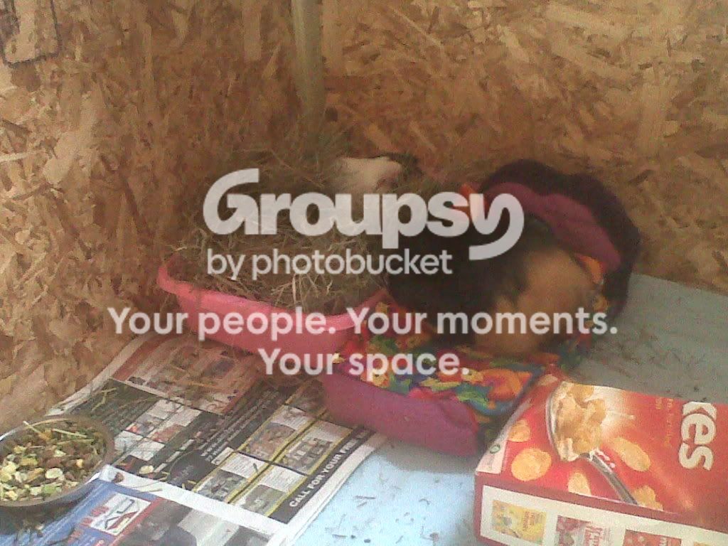 IMG00241-20111003-1015.jpg