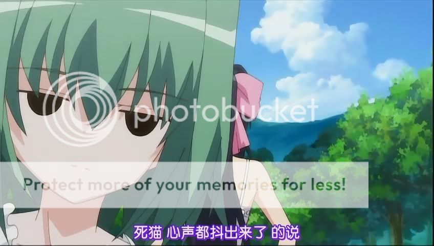 第四话 加杀必死若干会说话的猫内裤是哪部动漫的 - 守护猫娘绯鞠 鞠